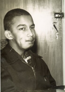 Na het tijger ongeluk